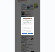 Kleine Seitenvorschau von neumarktonline.de