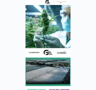 Kleine Seitenvorschau von mgf-viamedical.de