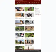 Kleine Seitenvorschau von franziskus-hundeland.de