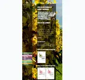 Kleine Seitenvorschau von weingut-breuninger.de