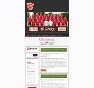 Kleine Seitenvorschau von fsv-landau.de