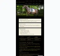 Kleine Seitenvorschau von sattlerei-hennig.de