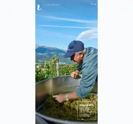 Kleine Seitenvorschau von liechtenstein.li