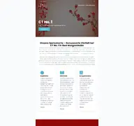 Kleine Seitenvorschau von ct-no1.de
