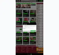 Kleine Seitenvorschau von frivol.com