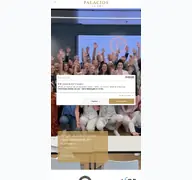 Kleine Seitenvorschau von palacios-relations.ch