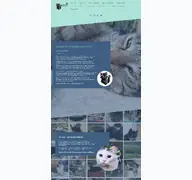 Kleine Seitenvorschau von katzenhilfe-duisburg.de