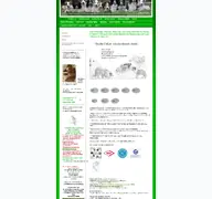 Kleine Seitenvorschau von kleine-arche.de
