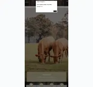 Kleine Seitenvorschau von xavers-ranch.de