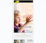 Kleine Seitenvorschau von gutbrod-fenster.de