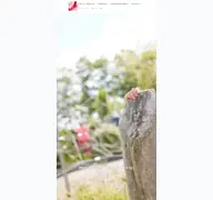 Kleine Seitenvorschau von vhph-rothenfelde.de
