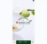 Kleine Seitenvorschau von schley.de