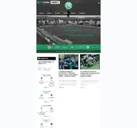 Kleine Seitenvorschau von fv-engers.de