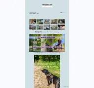 Kleine Seitenvorschau von fwspass.de