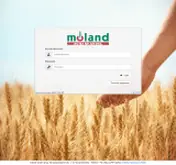Kleine Seitenvorschau von portal.moland.de