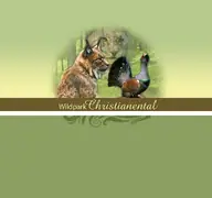 Kleine Seitenvorschau von christianental.de