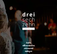 Kleine Seitenvorschau von dreisechzehn.de