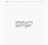 Kleine Seitenvorschau von dreiturmspringer.de
