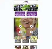 Kleine Seitenvorschau von aroniabeere.de