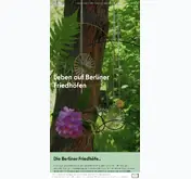 Kleine Seitenvorschau von meinkiez-meinfriedhof.berlin.de