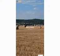 Kleine Seitenvorschau von mellnau.de