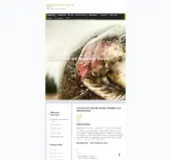 Kleine Seitenvorschau von niqel.de