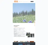 Kleine Seitenvorschau von nova-daemmstoffe.de