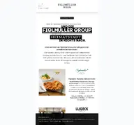 Kleine Seitenvorschau von figlmueller-group.at