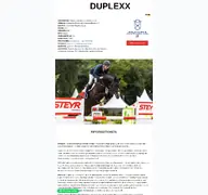 Kleine Seitenvorschau von hengst-duplexx.de