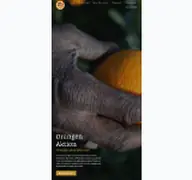 Kleine Seitenvorschau von faire-orangen.de