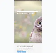 Kleine Seitenvorschau von binged.it