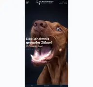 Kleine Seitenvorschau von woempner.de