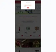 Kleine Seitenvorschau von fako-bringts.de