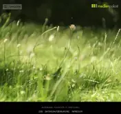 Kleine Seitenvorschau von medienpalast.de