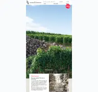 Kleine Seitenvorschau von hanewald-schwerdt.de
