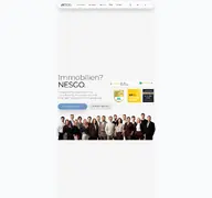 Kleine Seitenvorschau von nesgo.de