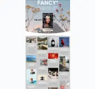 Kleine Seitenvorschau von fancy-magazin.de