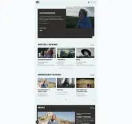 Kleine Seitenvorschau von pifflmedien.de