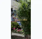 Kleine Seitenvorschau von erstes-ulmer-pfannkuchenhaus.de