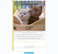 Kleine Seitenvorschau von julicats.de