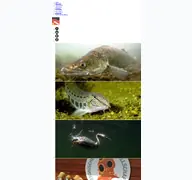 Kleine Seitenvorschau von tauchrevierdeutschland.de
