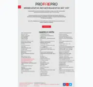 Kleine Seitenvorschau von profirepro.de