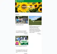 Kleine Seitenvorschau von gruene-leer.de