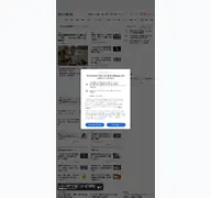 Kleine Seitenvorschau von asahi.com