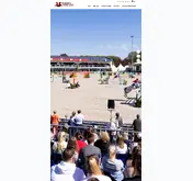 Kleine Seitenvorschau von psi-events.de