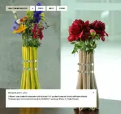 Kleine Seitenvorschau von waltermusacchi.com