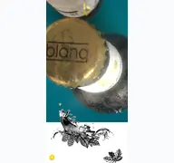 Kleine Seitenvorschau von blanqbier.de