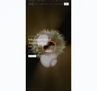 Kleine Seitenvorschau von schroederoptik.de