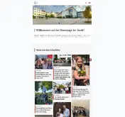Kleine Seitenvorschau von schulen-der-brede.de