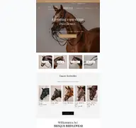 Kleine Seitenvorschau von brisque-bridlewear.de